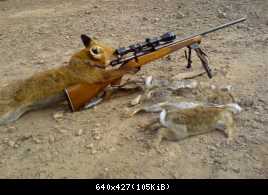 Fox hunting